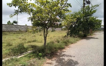 Land For Sale in Dharmanagar