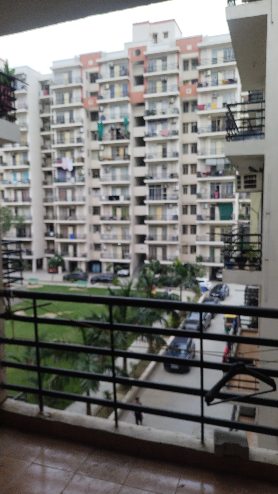 1 BHK Apartment For Rent in Lotus Homz
