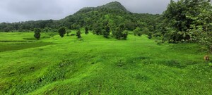  Plot For Sale in Mangaon