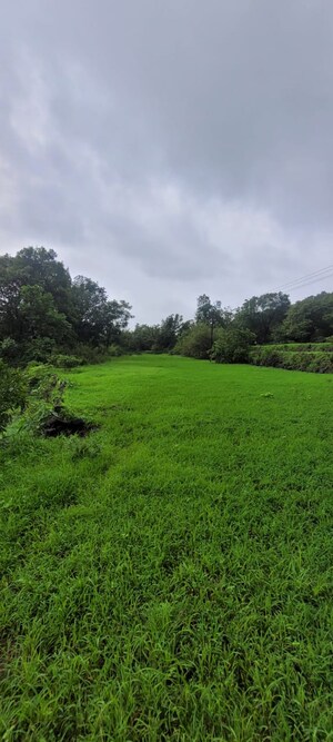  Plot – Exterior View View at Mangaon - for Sale