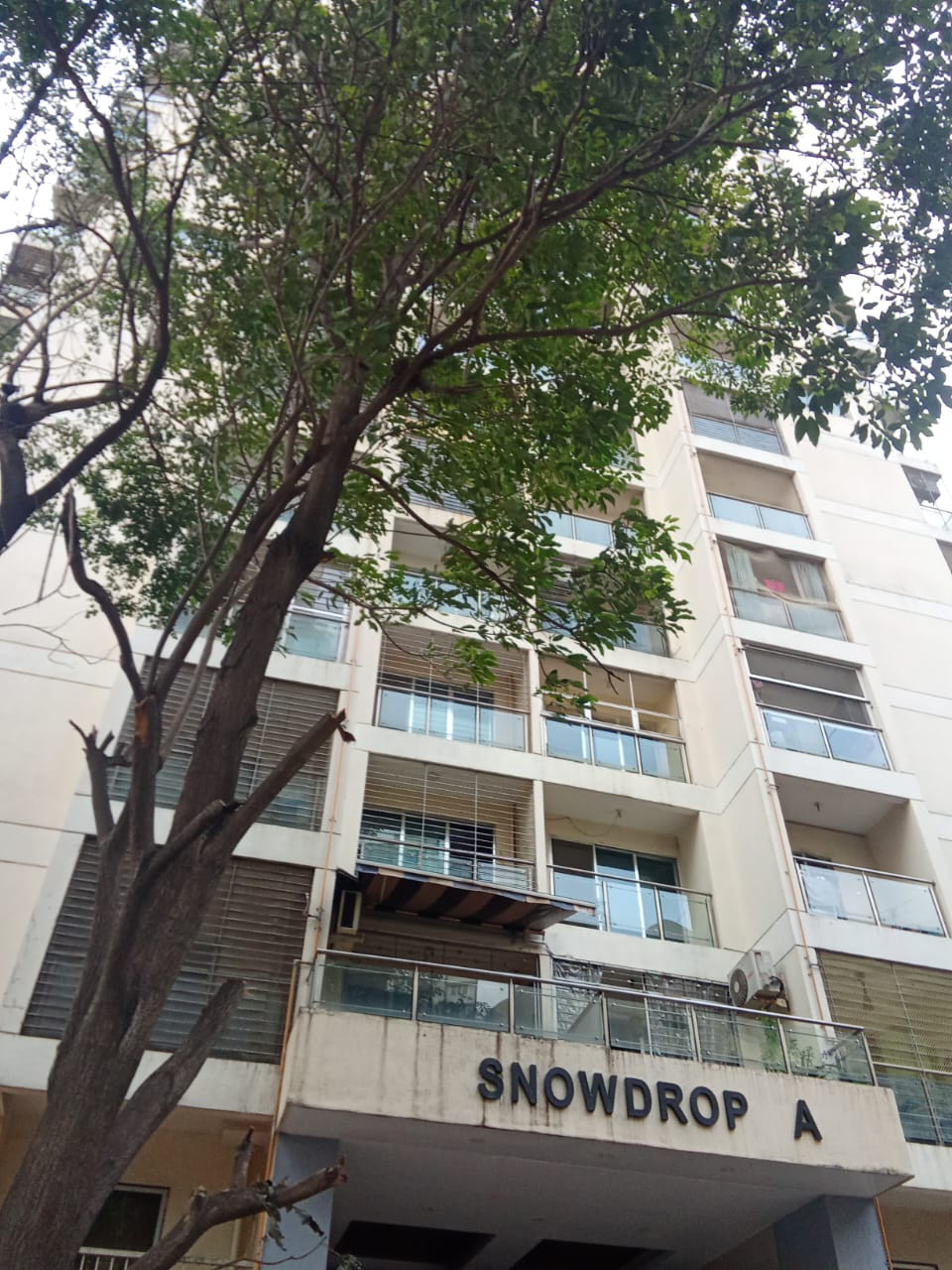 1 RkApartment For Rent in Snowdrop CHS
