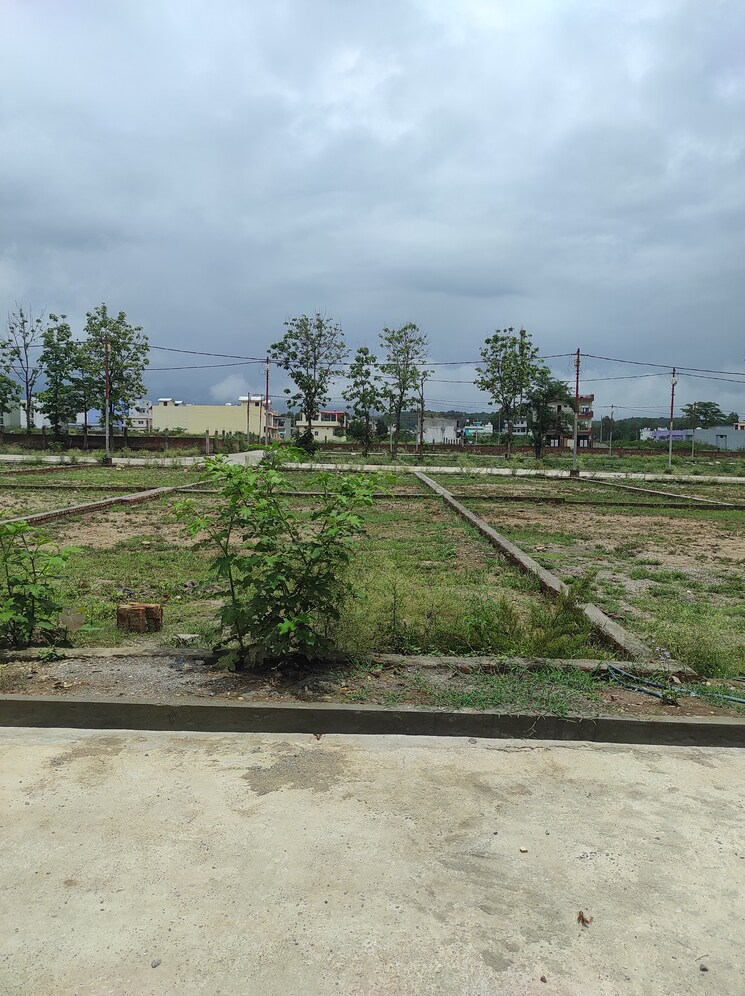 Garden, pondha  1922 Sq.Ft. Plot In Pondha Dehradun 8933991