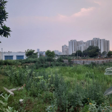 Plot Area in  Plot at DLF Garden City Plots I, Sector 91 – for Sale