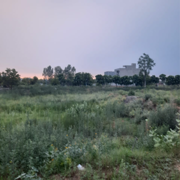 Plot Area in  Plot at DLF Garden City Plots I, Sector 91 – for Sale