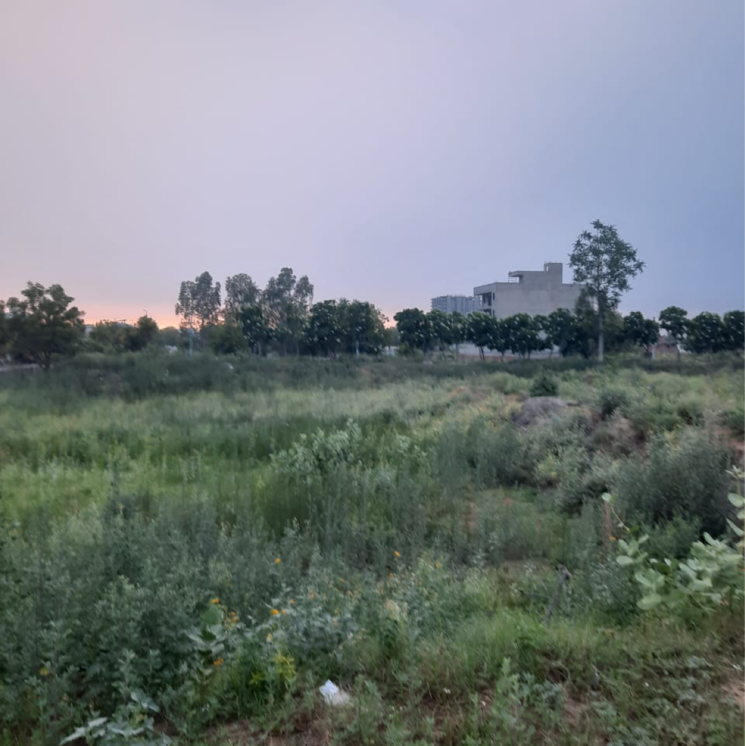 undefined, dlf-garden-city-plots-i  270 Sq.Yd. Plot In Sector 91 Gurgaon 8934011