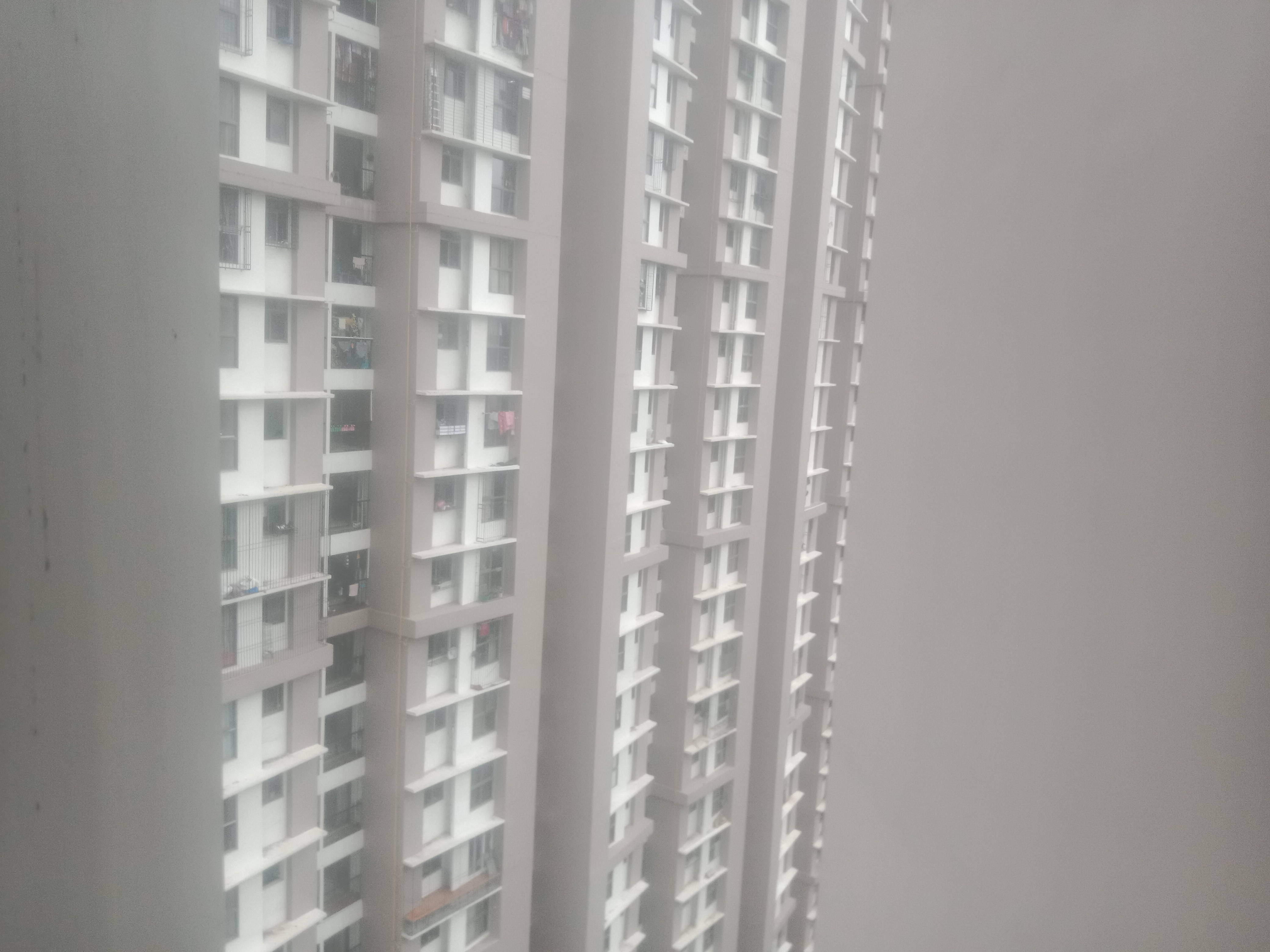 2 BHK Apartment For Rent in Runwal Eirene