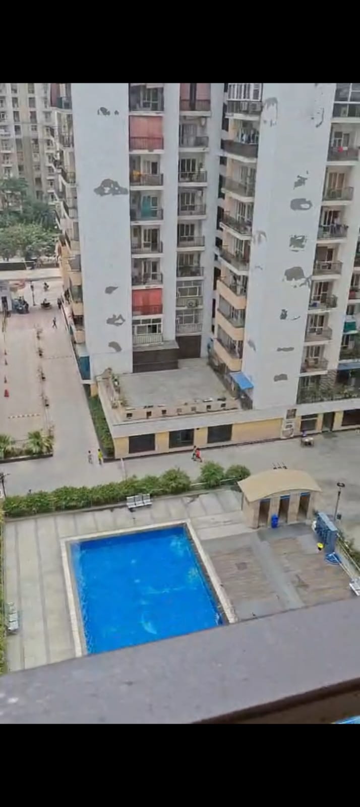 2 BHK Apartment For Rent in Panchsheel Greens