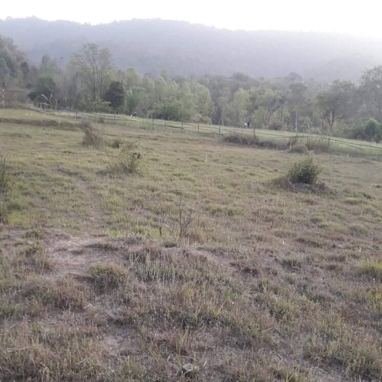 undefined, chari khas  1800 Sq.Yd. Plot In Chari Khas Kangra 8934209