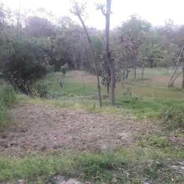 Plot Area in  Plot at Chari Khas – for Sale
