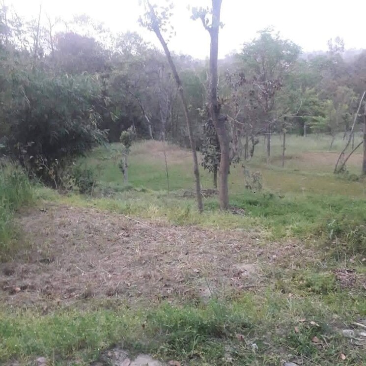 undefined, chari khas  1800 Sq.Yd. Plot In Chari Khas Kangra 8934209