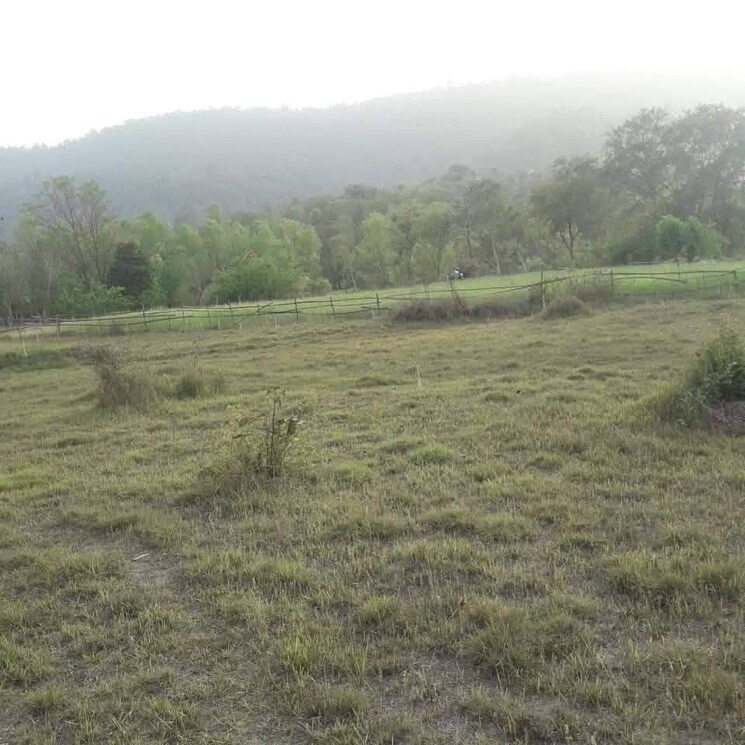 undefined, chari khas  1800 Sq.Yd. Plot In Chari Khas Kangra 8934209