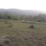 1800 Sq.Yd. Plot in Chari Khas 