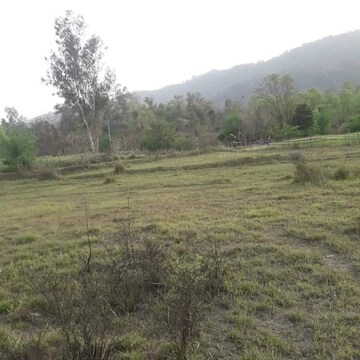 Plot Area in  Plot at Chari Khas – for Sale
