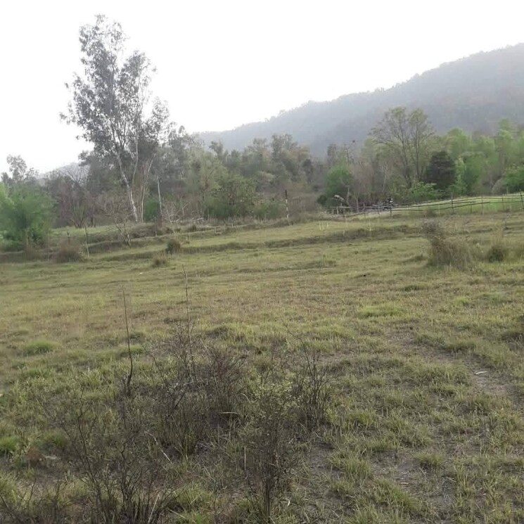 undefined, chari khas  1800 Sq.Yd. Plot In Chari Khas Kangra 8934209