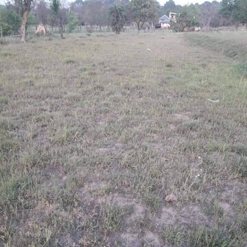 Plot Area in  Plot at Chari Khas – for Sale