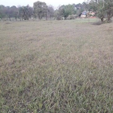 Plot Area in  Plot at Chari Khas – for Sale