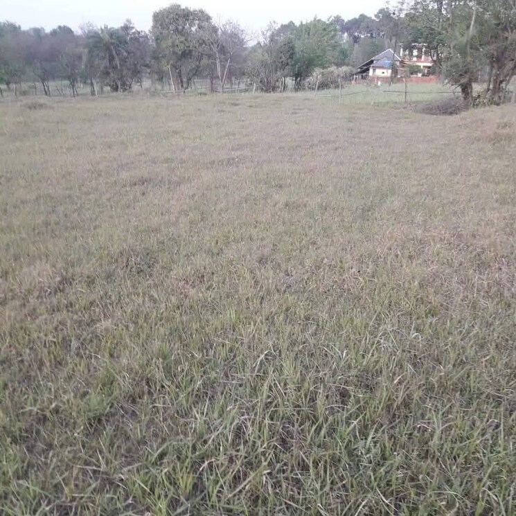 undefined, chari khas  1800 Sq.Yd. Plot In Chari Khas Kangra 8934209
