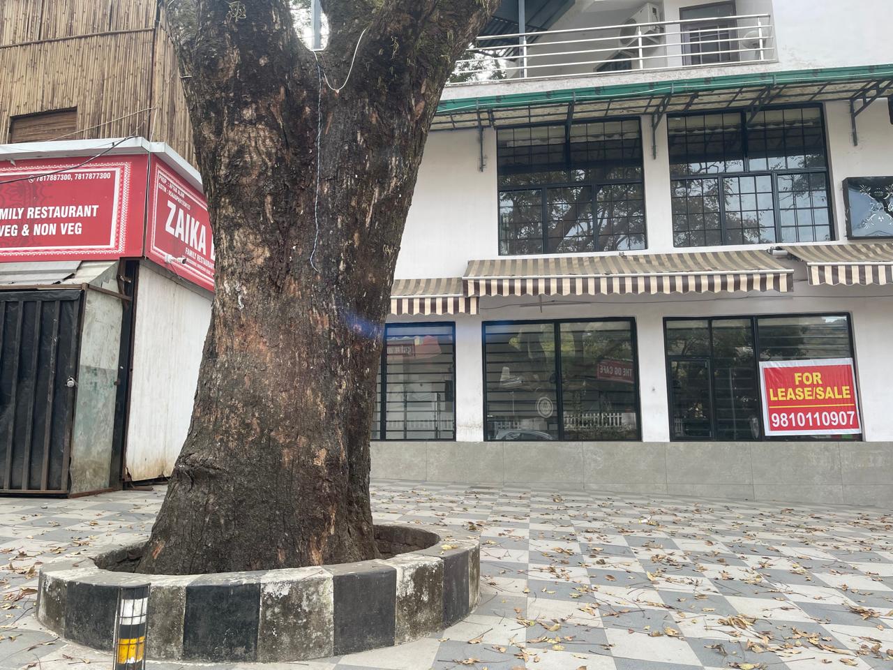 3 BHK + Pooja Room,Servant Room,Study Room,Extra Room 1335 Sq.Ft. Apartment in GAV Green View Blossom