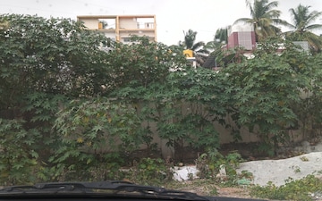 Plot For Sale in Edappally
