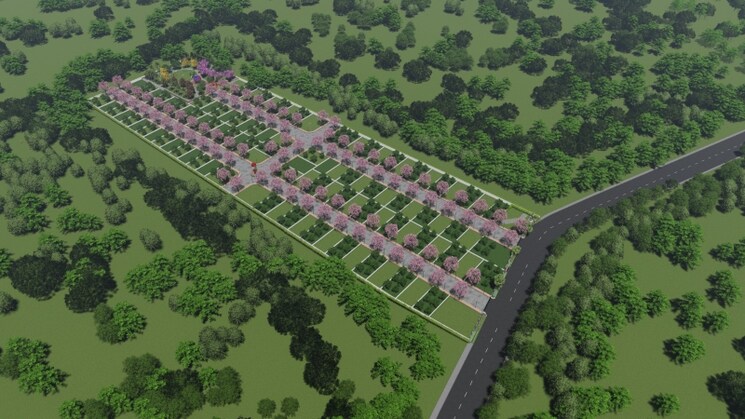 Exterior View, bhogapuram  165 Sq.Yd. Plot In Bhogapuram Vizag 8934604