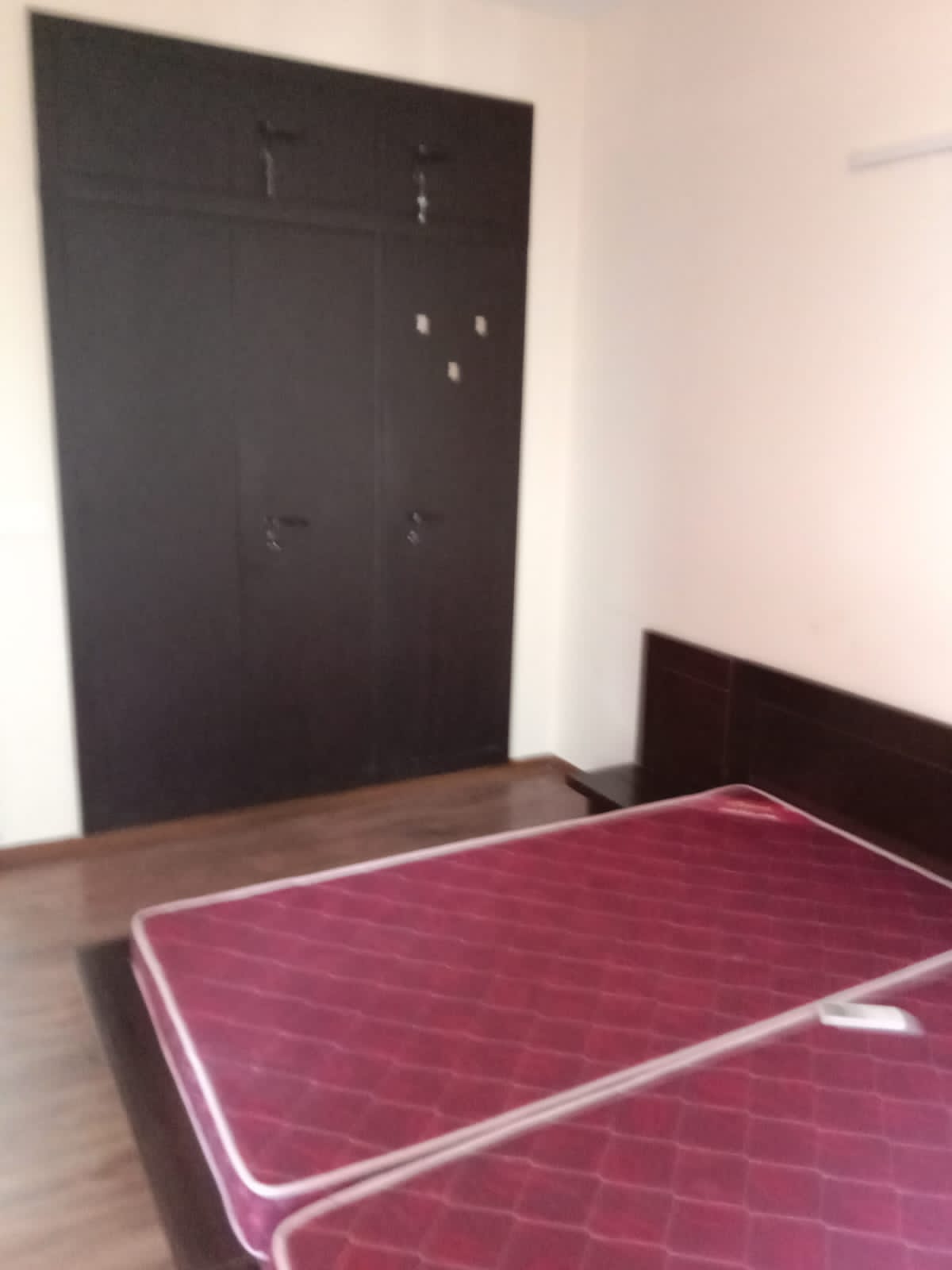2 BHK + Study Room Apartment For Rent in Antriksh Golf View