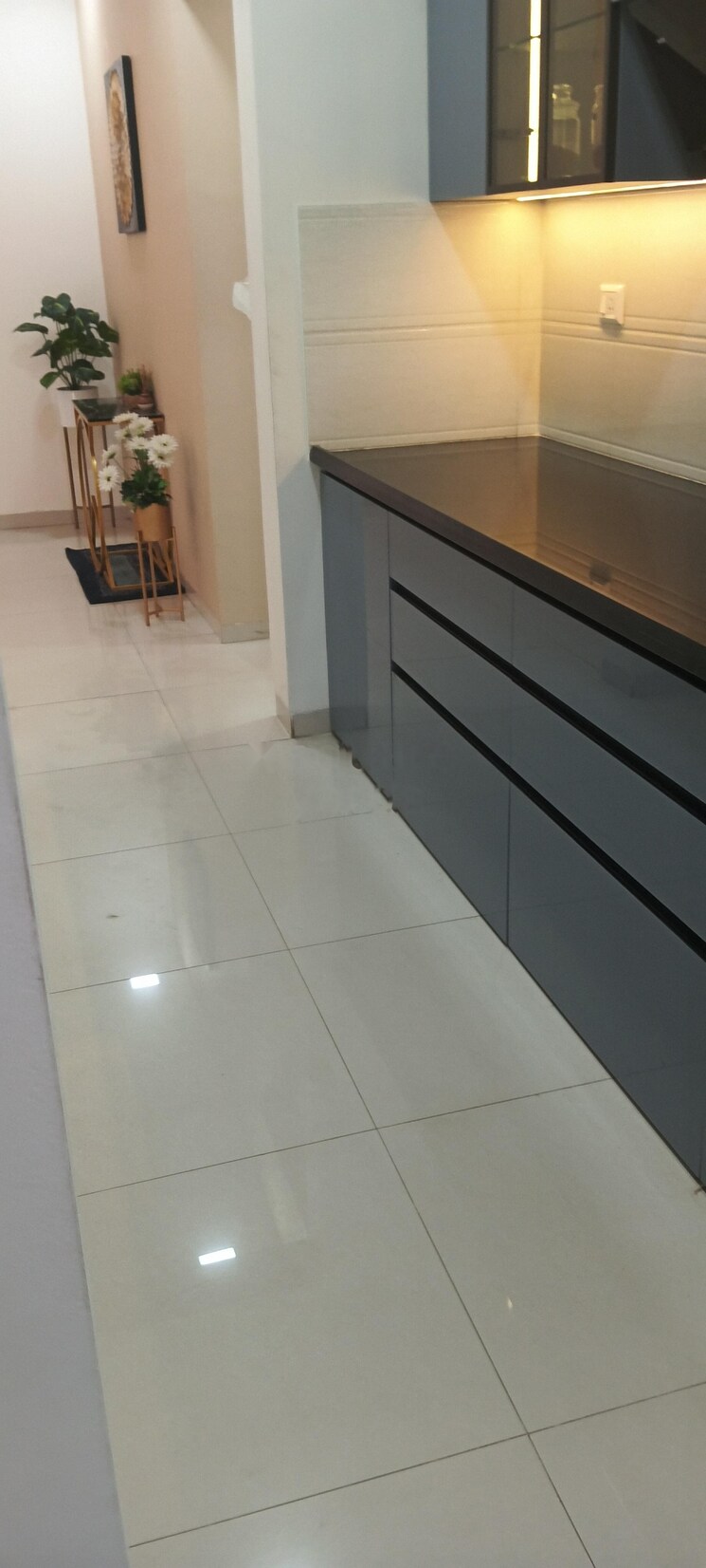 Kitchen, kalpataru-paramount 2 Bedroom 636 Sq.Ft. Apartment In Kapur Bawdi Thane 8934961