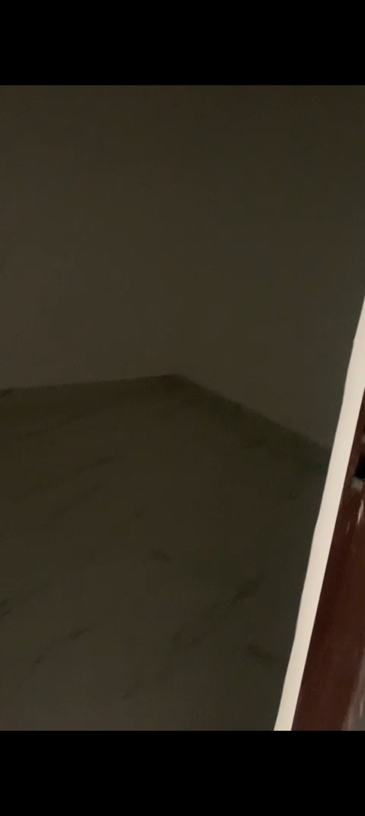 undefined, sector 1 greater noida 2 Bedroom 1150 Sq.Ft. Builder Floor In Sector 1 Greater Noida Greater Noida 8935143