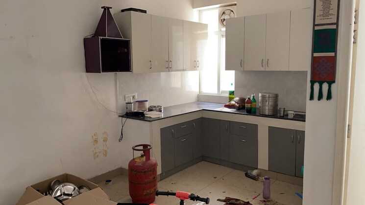 Kitchen, avl-36-gurgaon 1 Bedroom 540 Sq.Ft. Apartment In Sector 36 Gurgaon 8935147