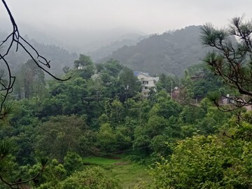  Plot For Sale in Morni