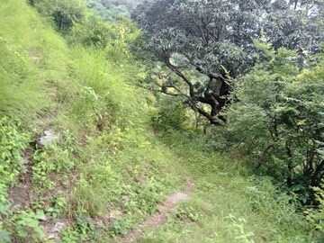  Plot – Exterior View View at Morni - for Sale