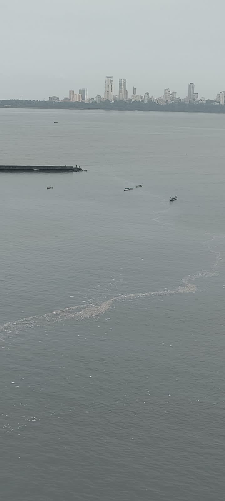 3 BHK + Servant Room 1800 Sq.Ft. Apartment in Maker Tower