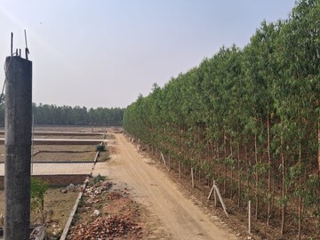 Plot Area in  Plot at Ganeshpur – for Sale