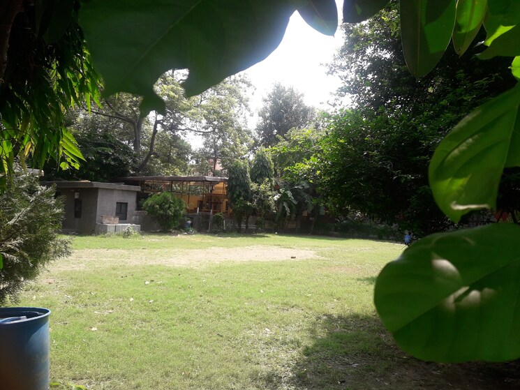 Garden, rohini sector 28  60 Sq.Mt. Plot In Rohini Sector 28 Delhi 8935762