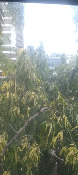 1.5 BHK Apartment – Garden View at Suparshwa Urbana, Andheri East - for Sale