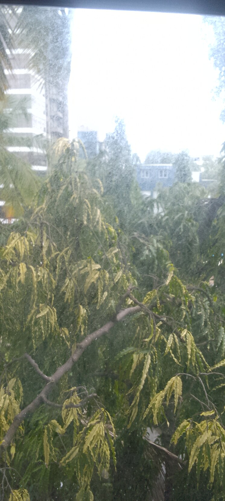 Garden, suparshwa-urbana 1.5 Bedroom 600 Sq.Ft. Apartment In Andheri East Mumbai 8935862