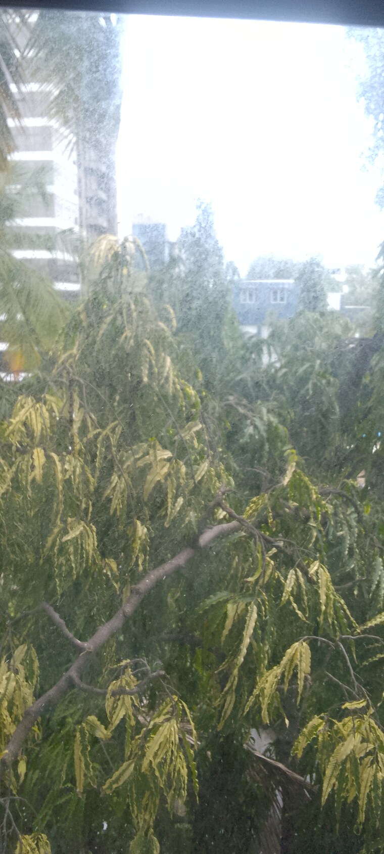 Garden, suparshwa-urbana 1.5 Bedroom 600 Sq.Ft. Apartment In Andheri East Mumbai 8935862