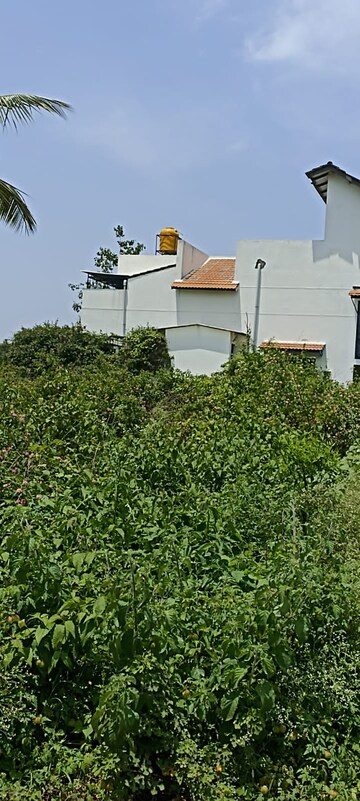  Plot – Exterior View View at Marsur - for Sale