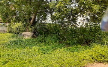 Plot For Sale in Medipalli