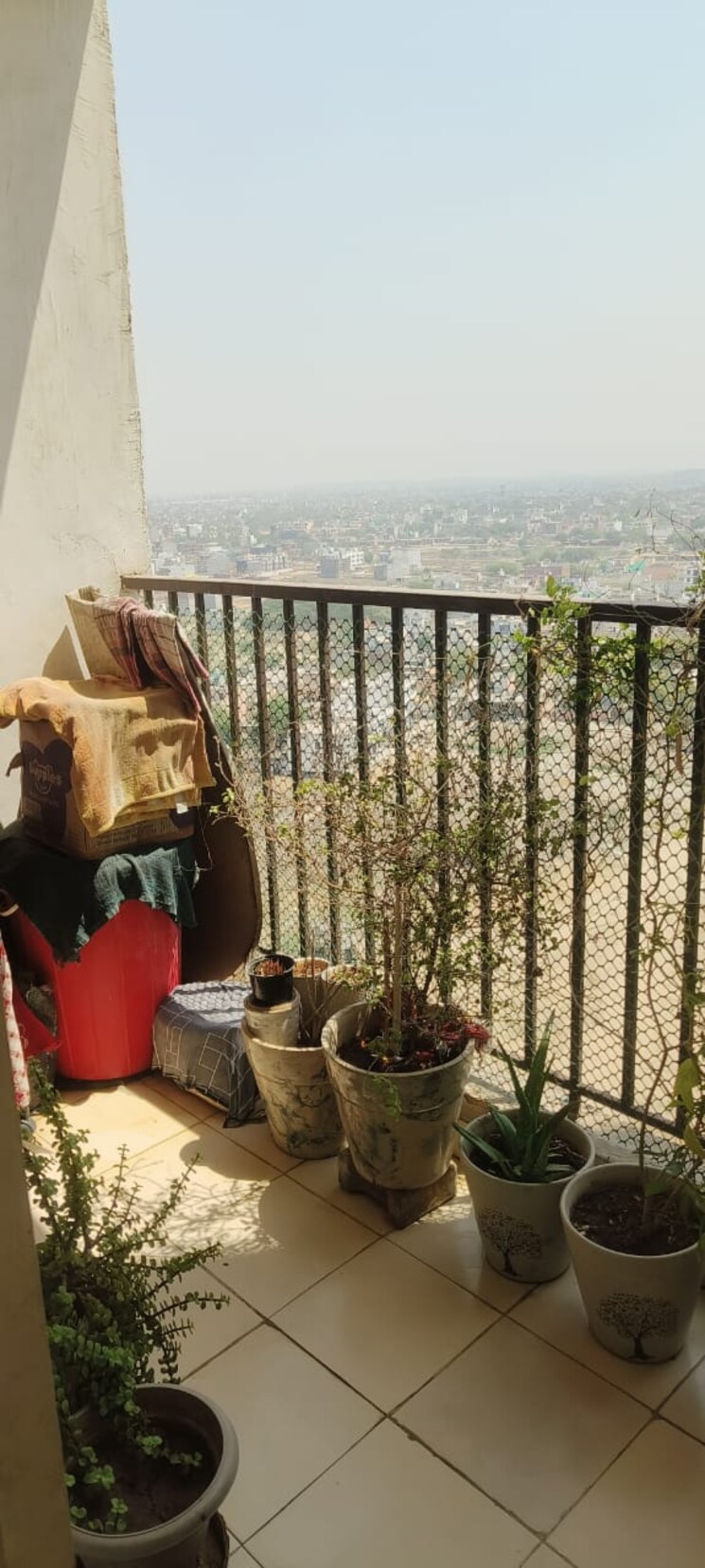 Gym, panchsheel-greens-ii 2 Bedroom 1105 Sq.Ft. Apartment In Sector 16 Greater Noida Greater Noida 8936269