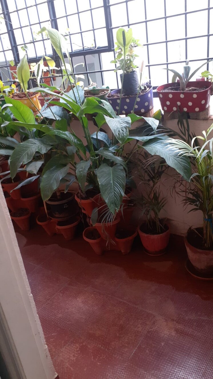  Parking, saptagiri-heights 2 Bedroom 1160 Sq.Ft. Apartment In Murugesh Palya Bangalore 8936317