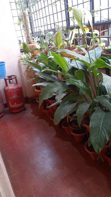 Parking in 2 BHK Apartment at Saptagiri Heights, Murugesh Palya – for Sale