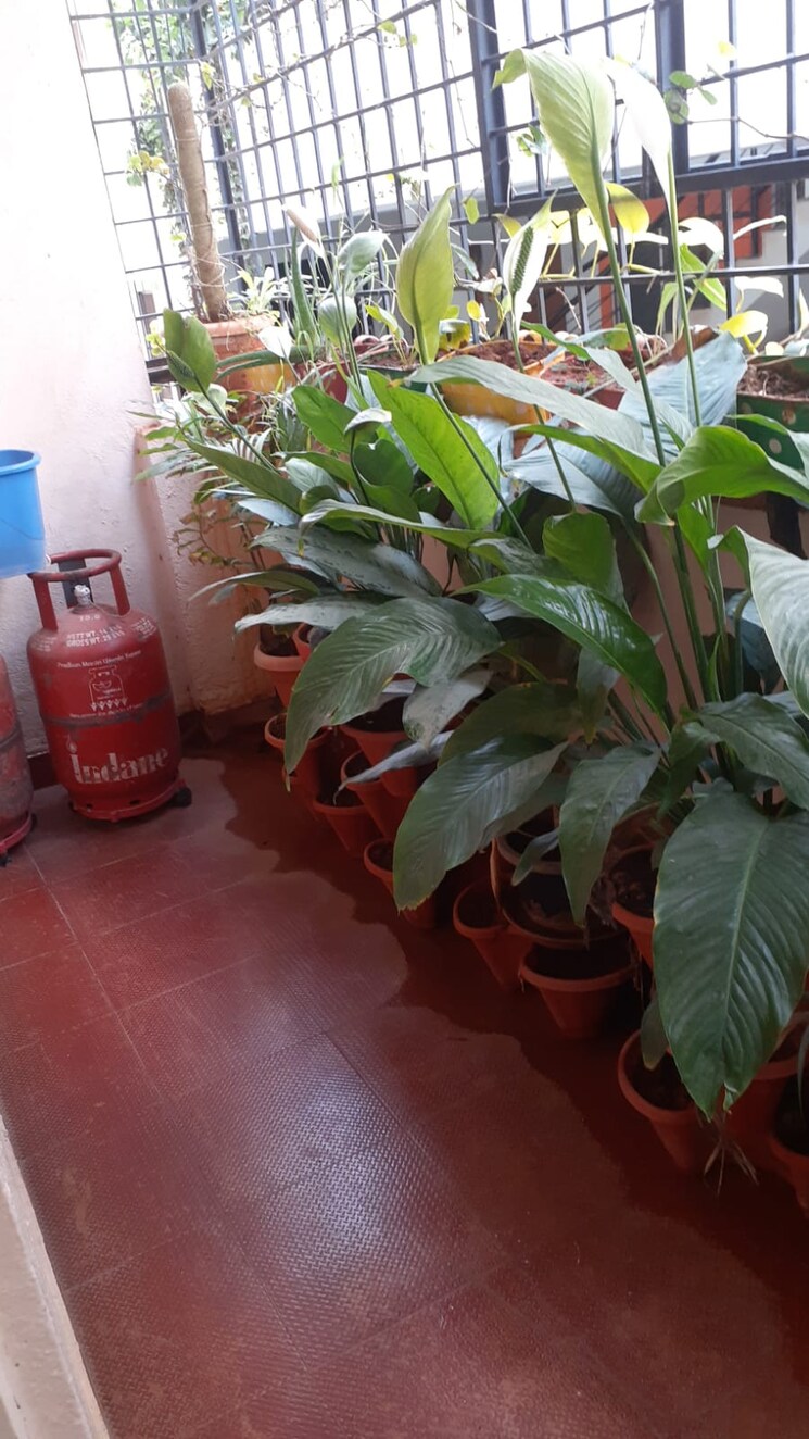  Parking, saptagiri-heights 2 Bedroom 1160 Sq.Ft. Apartment In Murugesh Palya Bangalore 8936317