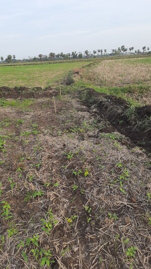  Land For Sale in Gangadharapuram