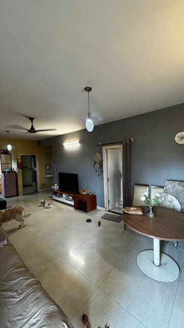 Living Room in 3 BHK Apartment at Okalipuram – for Sale