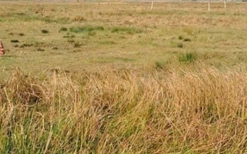 Land For Rent in Ujjain Road