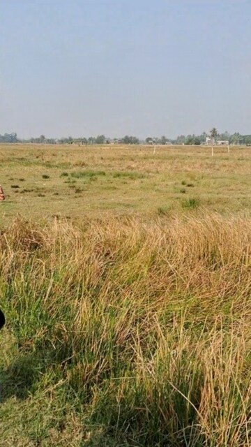  Land For Rent in Ujjain Road