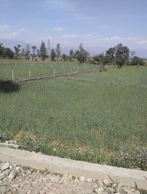  Plot For Sale in Shimla Bypass Road