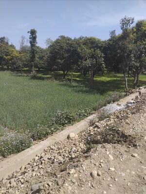 Plot Area in  Plot at Shimla Bypass Road – for Sale