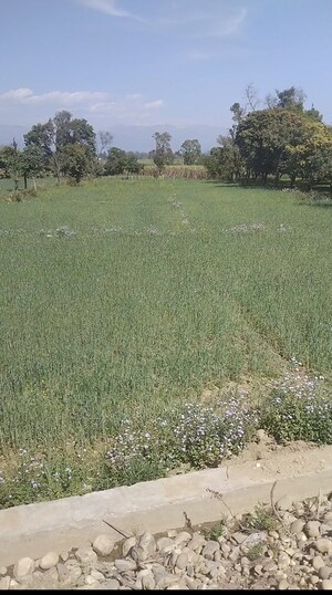 Plot Area in  Plot at Shimla Bypass Road – for Sale