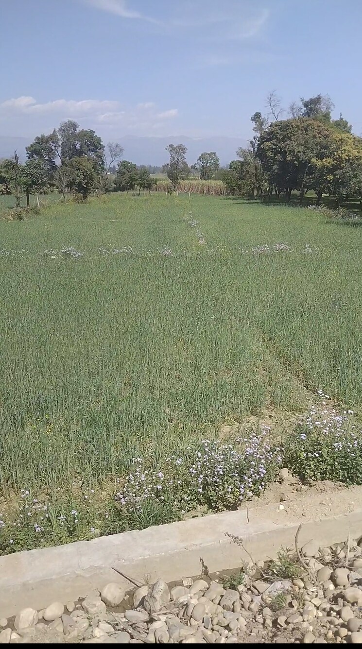 undefined, shimla bypass road  50 Acre Plot In Shimla Bypass Road Dehradun 8937131